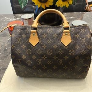 Louis Vuitton Speedy 30